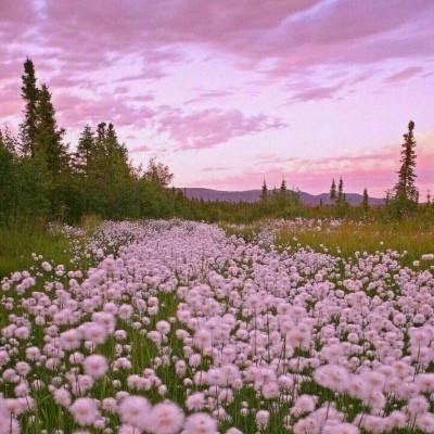 hth华体育(中国)官方入口手机app下载截图